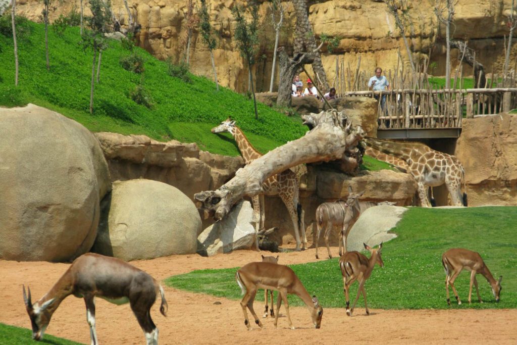 National Childrens Pack and Zoo Abuja