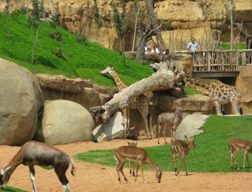 National Childrens Park and Zoo Abuja