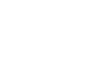 Deja Vu Private Cinema 14 dejavu smarthomes logo white 1