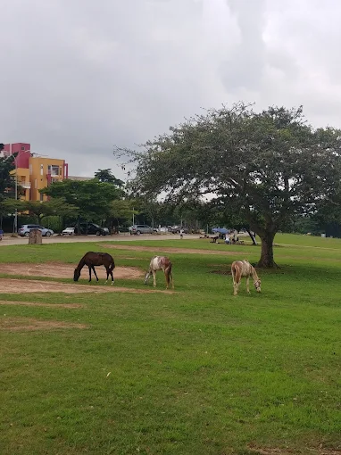 Jabi Lake Park 3