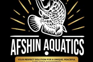 Afshin Aquatics Abuja 30 Afshin Aquatics Abuja 1