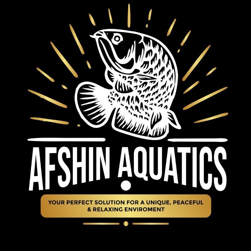 Afshin Aquatics Abuja 1
