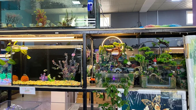 Afshin Aquatics Abuja 3 Afshin Aquatics Abuja 1