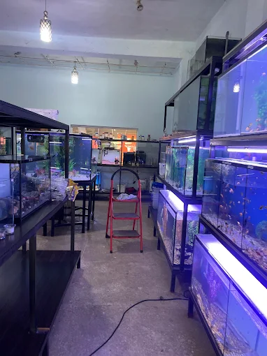 Afshin Aquatics Abuja 6 Afshin Aquatics Abuja 5