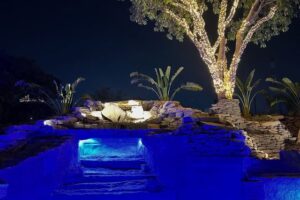 Ibro Fish Signature Abuja 1