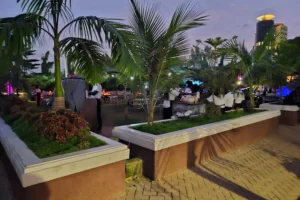 Ibro Fish Signature Abuja 1