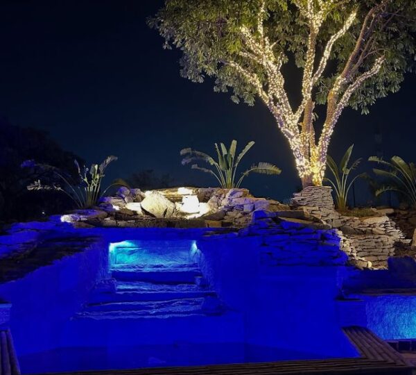 Ibro Fish Signature Abuja 1