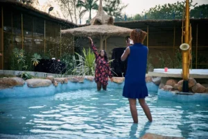 The 12 by Naji Resort Abuja 3