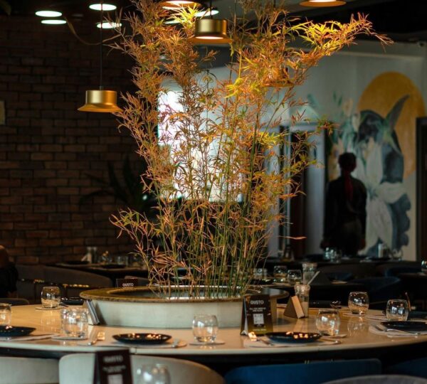 The ultimate setting for a dining experience youll never forget ✨We open everyday from 12pm til 1