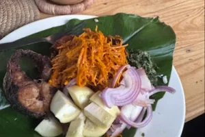 Abacha Villa Abuja 8