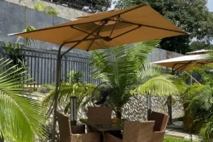 The Panini Bar Abuja 44 The Panini Bar Abuja 14