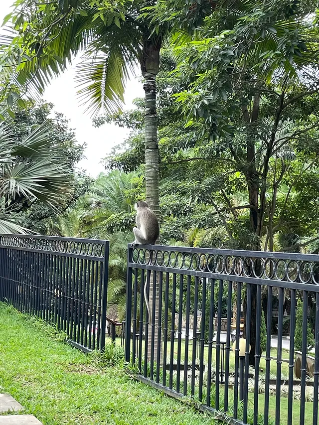 The Panini Bar Abuja 5 The Panini Bar Abuja 8