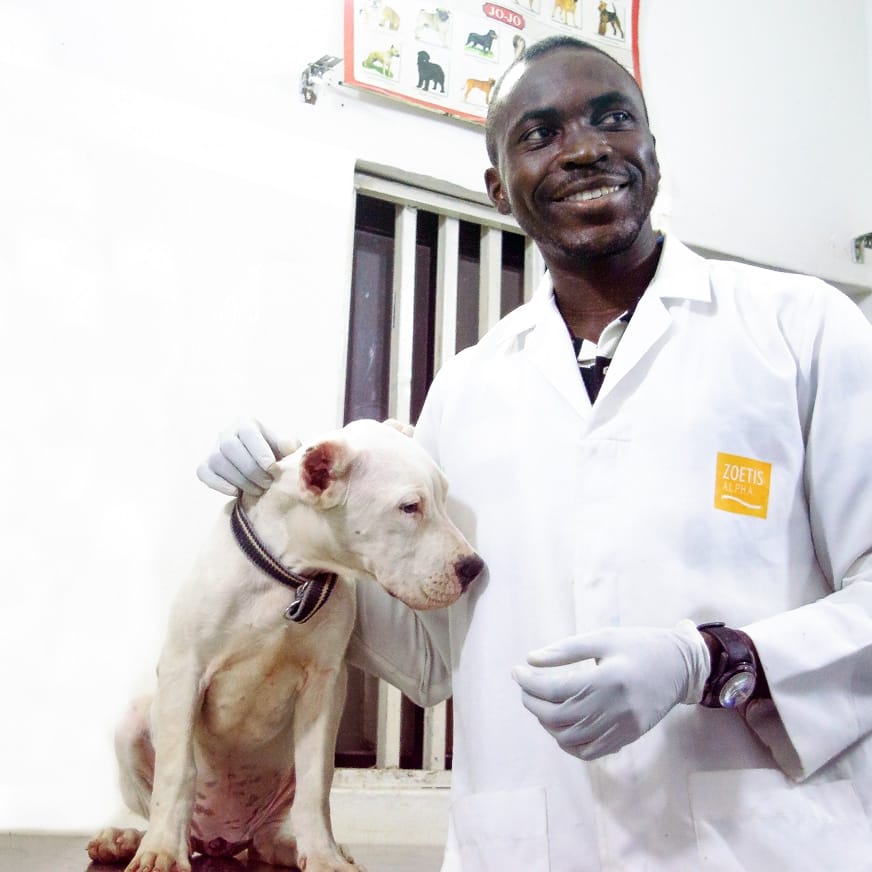 vet in maitama