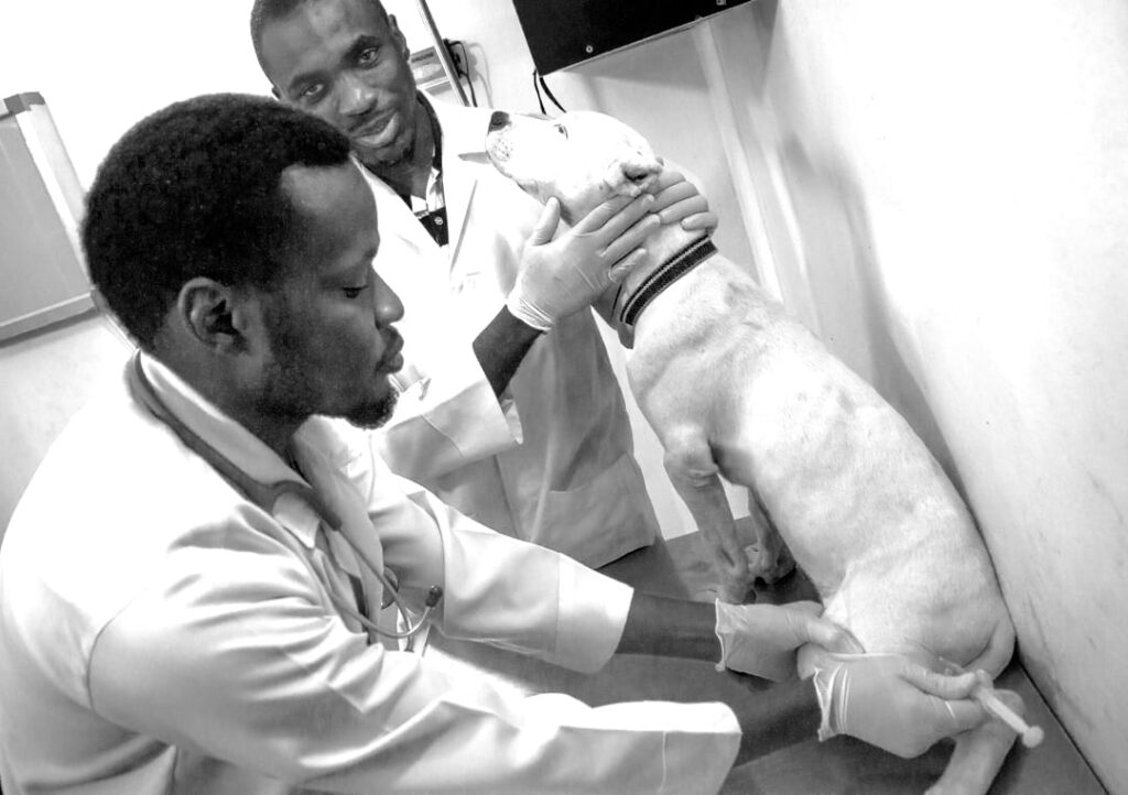 Blueblood Veterinary Ltd