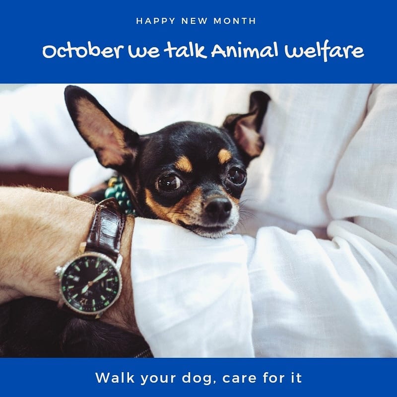 vet clinic abuja